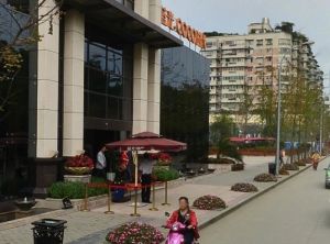 蓝光COCO时代3室2厅东南