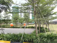 交通便利 配套成熟 小区安静 环境好