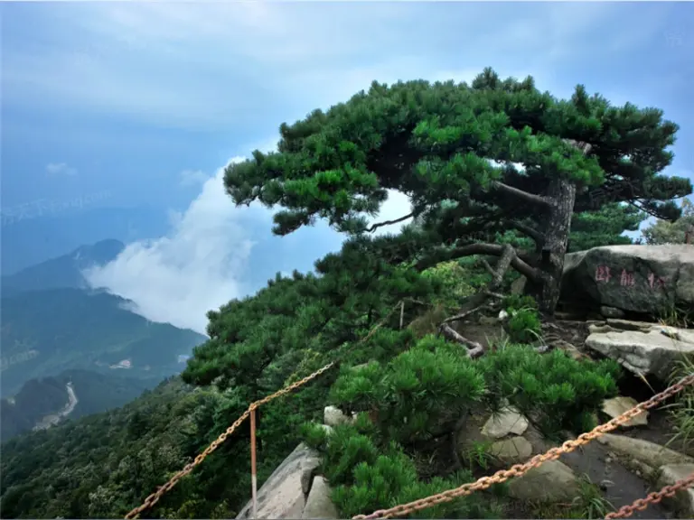 薄刀峰雲端山莊進度實探