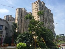 碧桂园二期精装三室两厅 业主急售