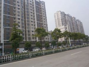 金桥人家,毛胚没有精装过,诚心卖