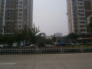 金 桥 世 家 满五唯一 房东诚心出售