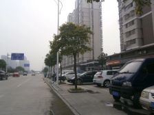 金桥世家 好楼层 精装修 房东急售