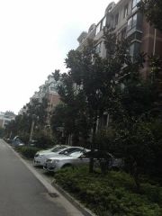 水榭花都3室2厅南