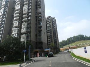 芙蓉南路主路大平层电梯5房清水毛坯,随时可看