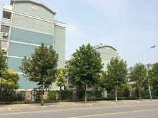 顶楼带阁楼,看房有钥匙随时,房东简装诚心出售