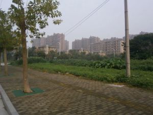 户型方正位置优越,采光充足适合居住