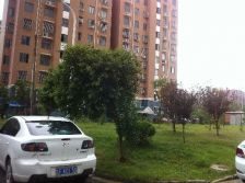 房子地段很好,出行,购物都十分方便,小区环境也不错