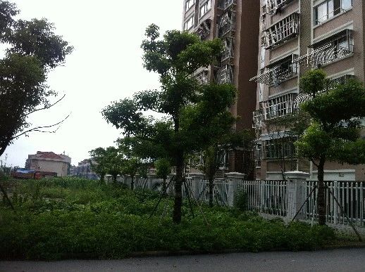 新三园花苑实景图