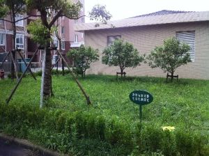 新三园花苑 1室1厅 南