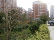 百家花苑6室2厅南