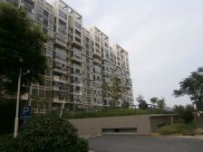 金和家园 2室1厅 南