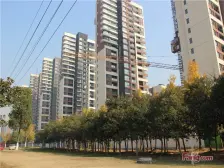 金塘园2室2厅1卫南北朝向173.00万元/套出售