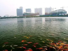 奥园国际公寓精装修三室,业主诚心卖房