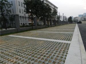 可可小城2室1厅南