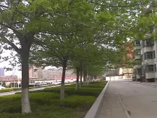 双气社区 好停车 环境好 农科路 小 学 47