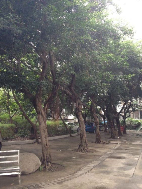 小区相关图