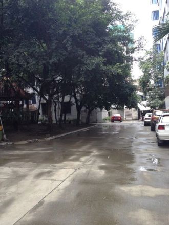 现代花园实景图