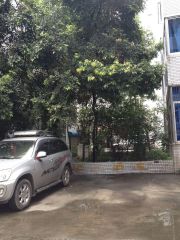 现代花园一期3室2厅南北