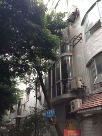 现代花园实景图