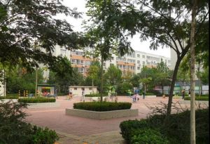 裕丰三期 3室2厅 南