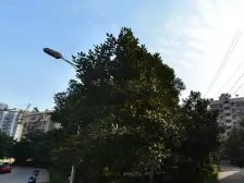 房子很不错·交通便利。真好。,,,