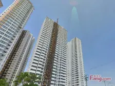 沙井驿街道 毛坯出售 楼层好 采光无遮挡