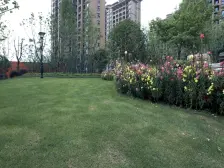 凤凰景苑 3室1厅 南 东 北