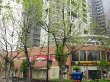 向都·國際3室2厅东南西北