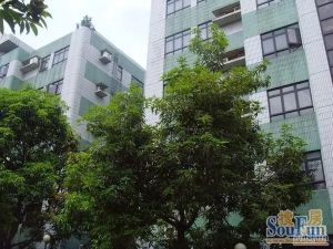 碧桂园西苑,100平南向,中层,产权清晰,看房方便