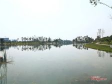 两江国际3室2厅东