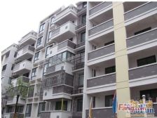 金桥花园 在朝南10平车库,诚心出售 金郊