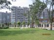交大季柳园实景图