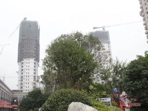 如皋碧桂园 2室2厅 南
