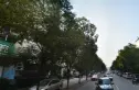 东明苑实景图