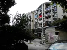 槎浦南区、新上正气一房,业主诚意出售