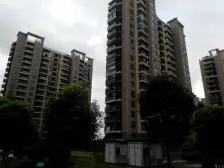 大虹桥 双轨交 近地铁14号线 电梯高层视野好 阳台大