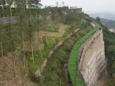 鸳鸯 大雅云居山三房