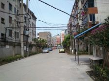 青园新村2室2厅南
