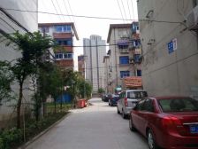 青园路 3室2厅 南
