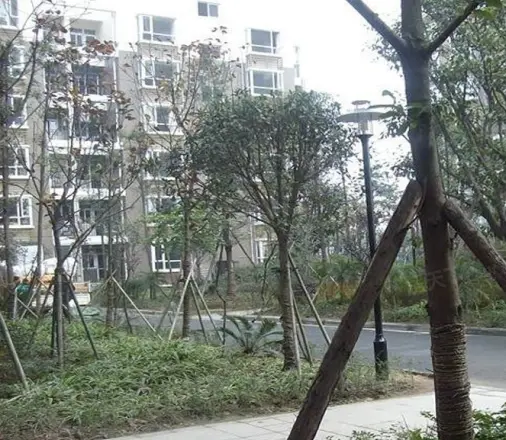 紫东丽景