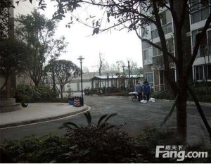 紫东丽景2室1厅西南