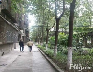 滨江中路1号2室1厅东南