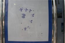 小区安静方位 全屋精装自住中 业主诚售