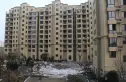金桥名苑实景图