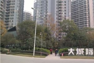 大城际 2室1厅 东南