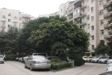 紫竹苑2室1厅南