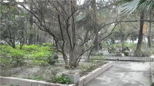 百寿路7号2室1厅南北