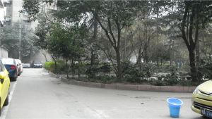 百寿路7号 3室2厅 西南