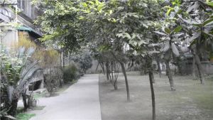 百寿路7号2室1厅南北
